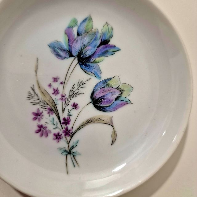 Platillo Santa Clara Álvarez Vigo