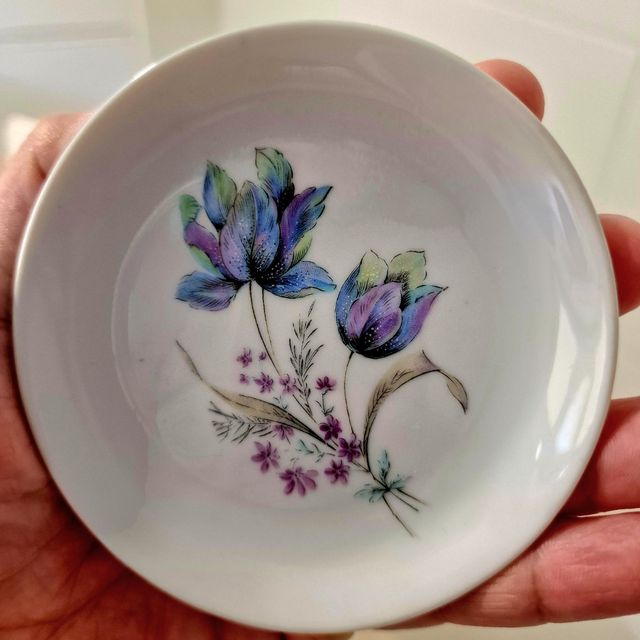 Platillo Santa Clara Álvarez Vigo