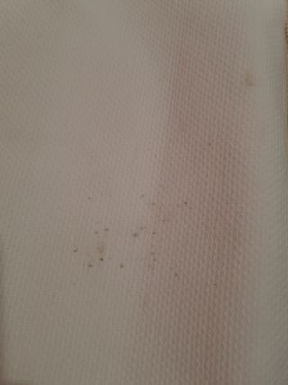 Vestidura cuna. Todo incluido menos la cuna.