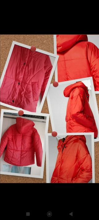 Anorak Springfield nuevo