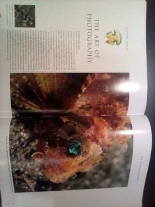 Libro Underwater Photography Handbook