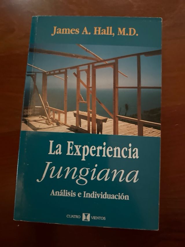 La experiencia jungiana