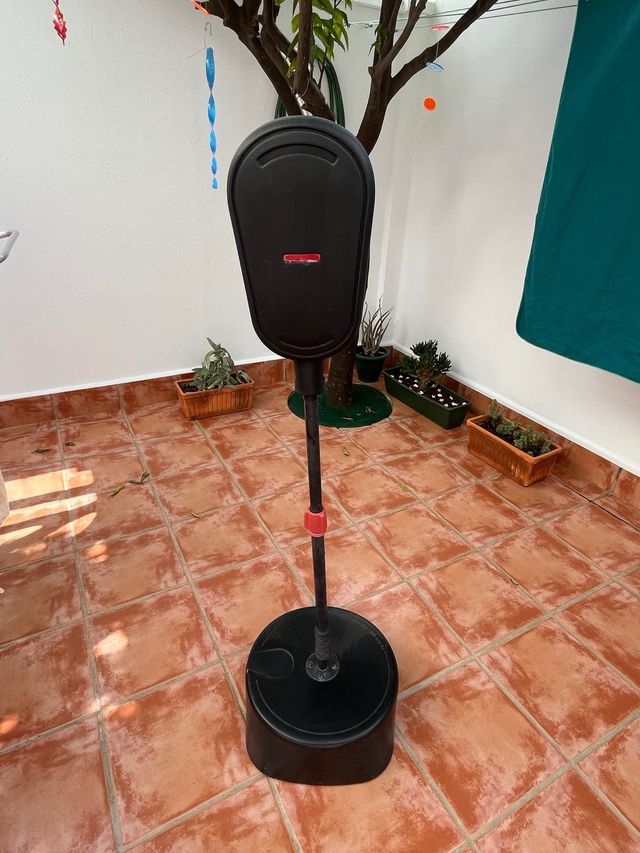 Juego boxeo infantil