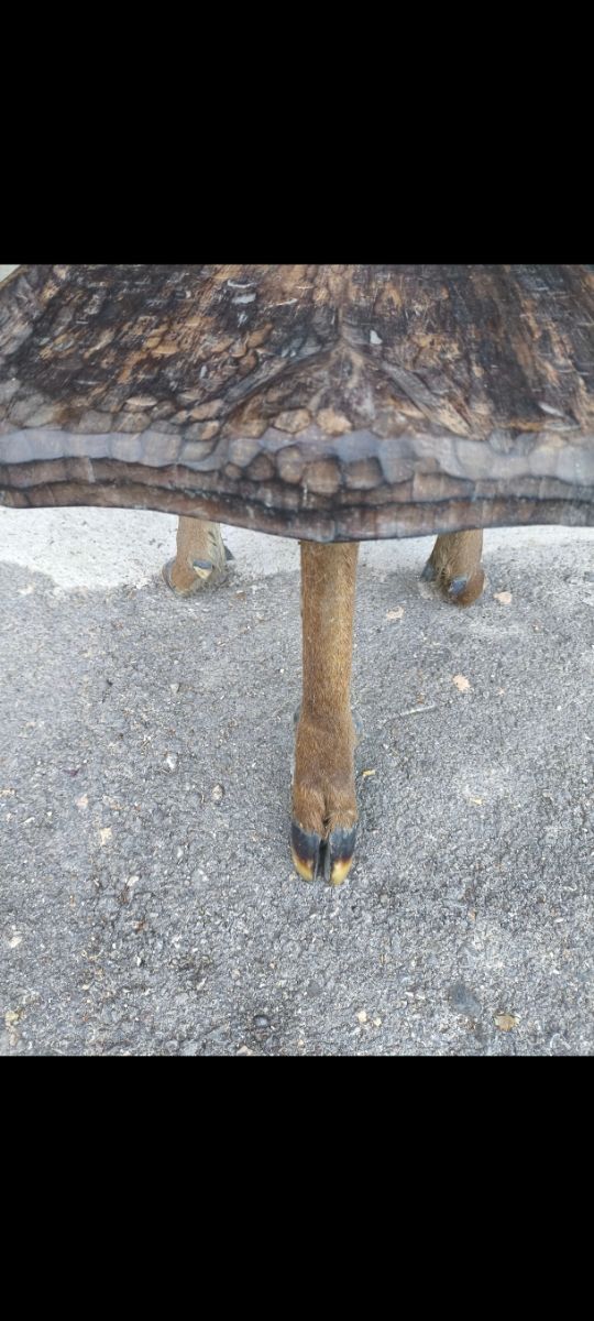 Sillas y mesa artesanal