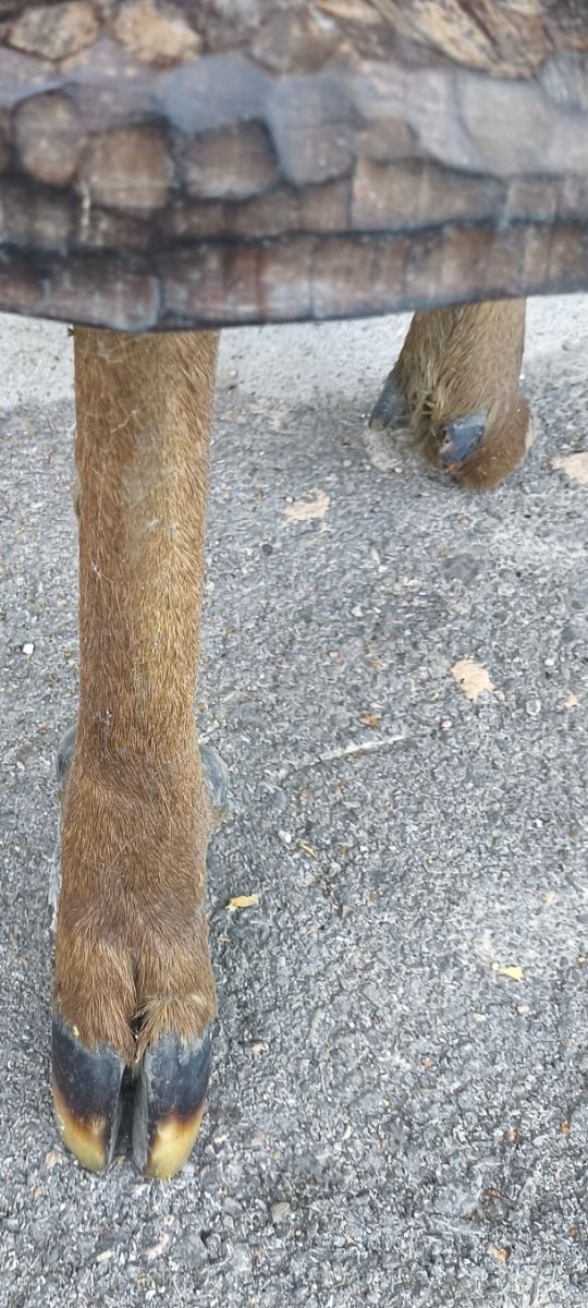 Sillas y mesa artesanal