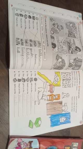 Lote libros 2 primaria