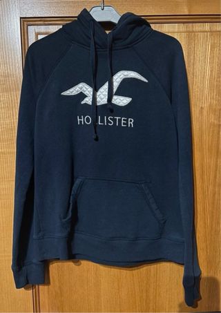 Sudadera Hollister