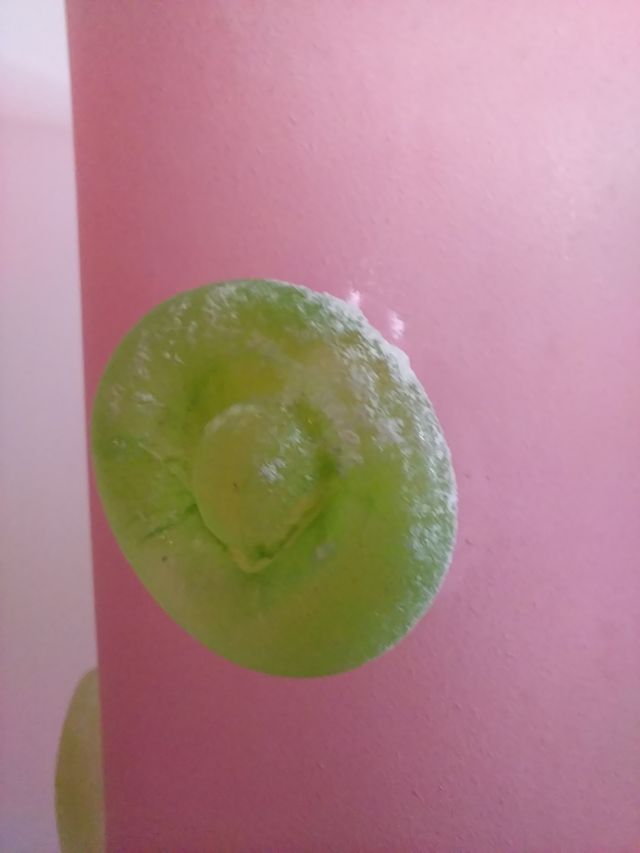 Vaso Scavo Murano anni 70