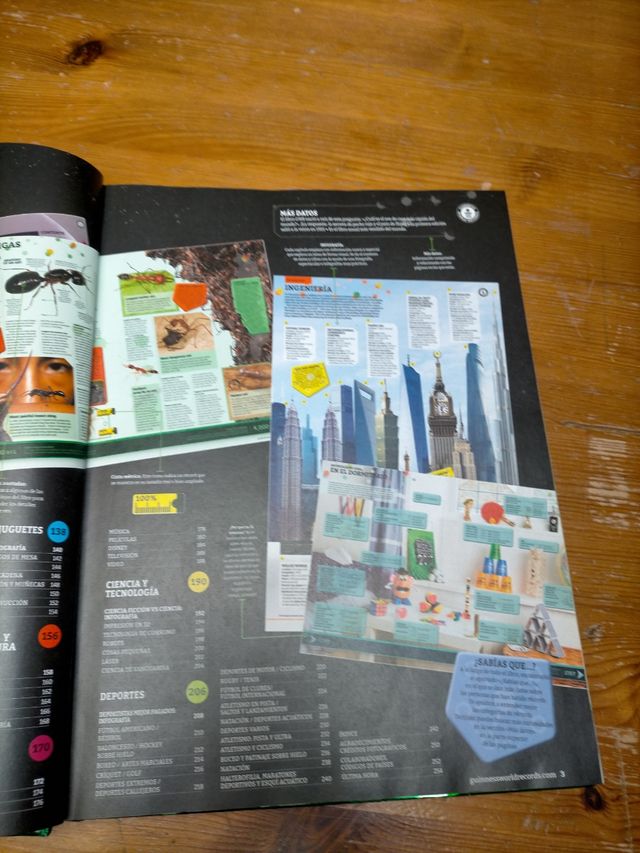 Guinness de los records 2017