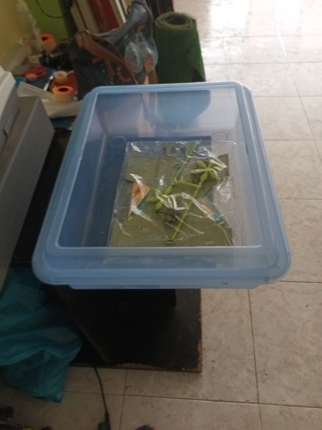 Tortuguera plástico