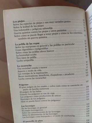 DOCE PEQUEÑOS HUESPEDES