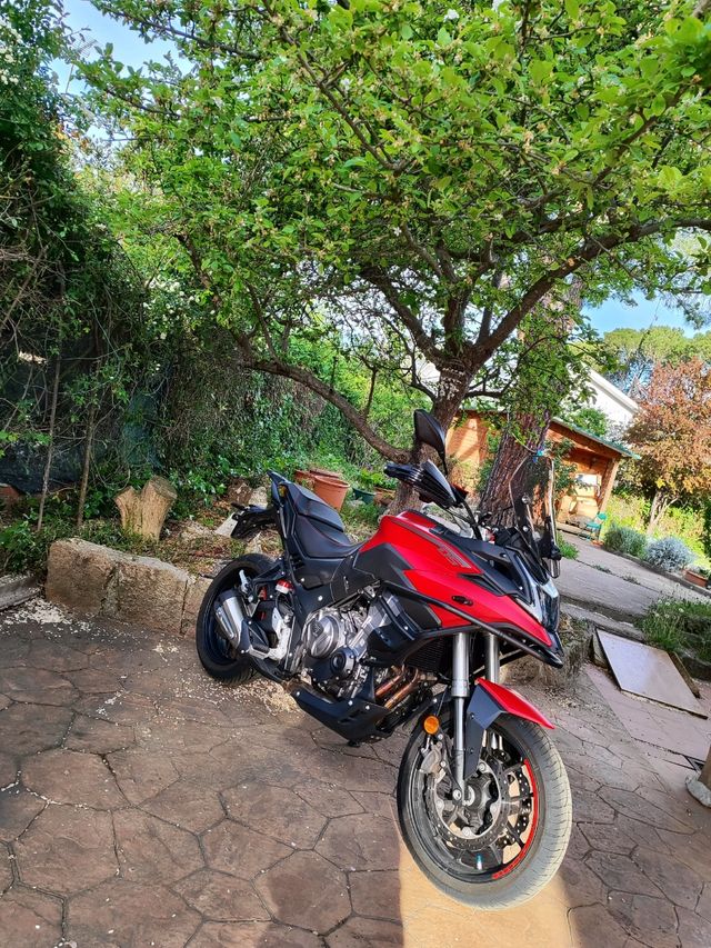 PREZIOSA VOTA 500 DS