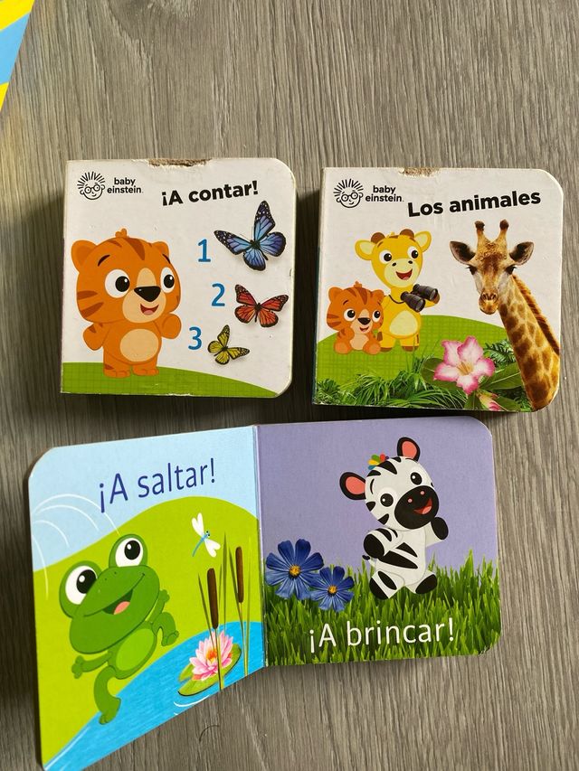 Set mini libros