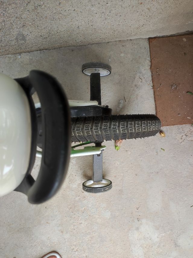 Bicicleta infantil ruedines royalbaby