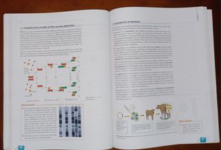 ISBN 9788469807026 - 1° Bachillerato 