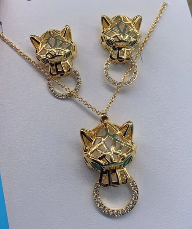 Conjunto de cabeza de leopardo