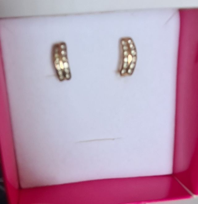 Orecchini placcati in oro