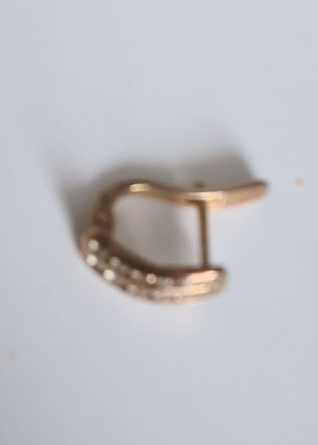 Orecchini placcati in oro