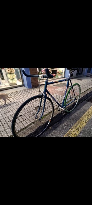 Bicicleta Fixie