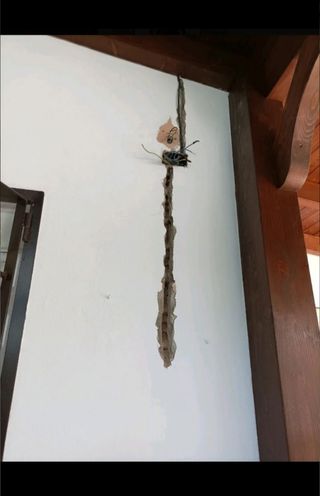 INSTALA, ARREGLO PERSIANAS, POLEAS, LAMAS