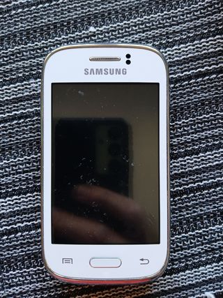 Samsung Galaxy Young (GT-S6310)