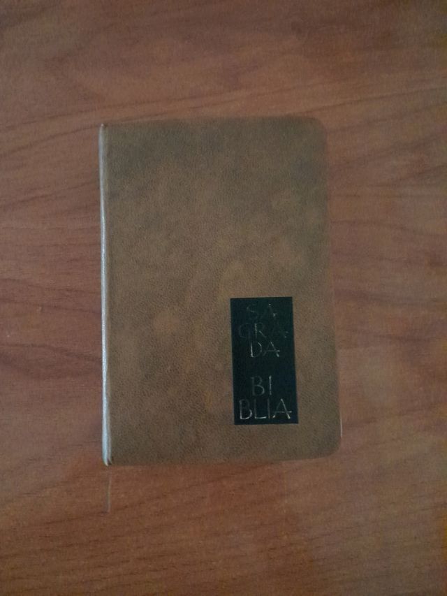 Sagrada Biblia 