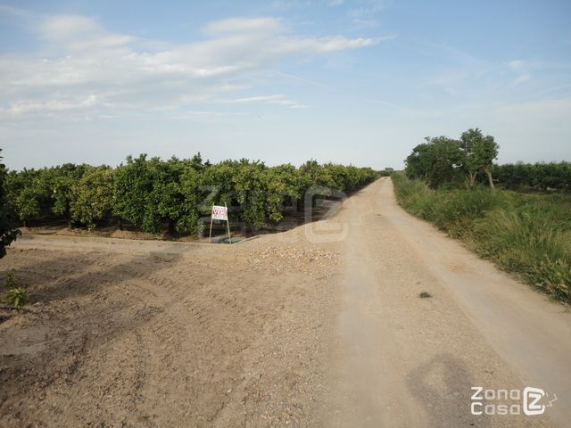 FINCA RUSTICA O CAMPO ALBALAT DE LA RIBERA