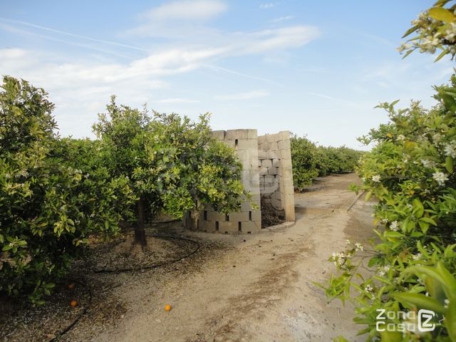 FINCA RUSTICA O CAMPO ALBALAT DE LA RIBERA
