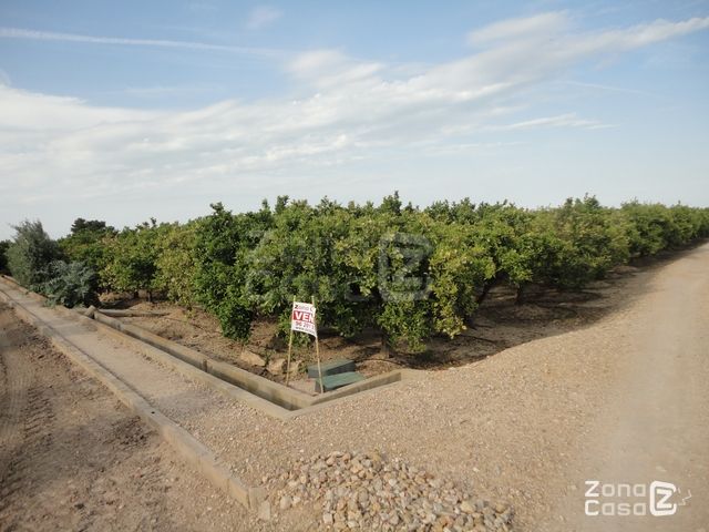 FINCA RUSTICA O CAMPO ALBALAT DE LA RIBERA