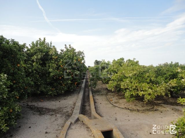 FINCA RUSTICA O CAMPO ALBALAT DE LA RIBERA