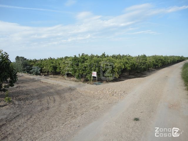 FINCA RUSTICA O CAMPO ALBALAT DE LA RIBERA