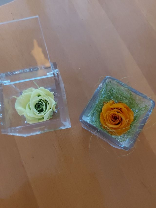 Set 2 rose stabilizzate