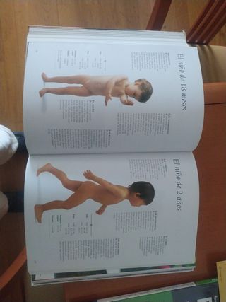 Larousse de los padres/ Larousse For Parents: Embarazo, Nacimiento, Cuidados Y Educacion/ Pregnancy, Birth, Care and Education (Spanish Edition)