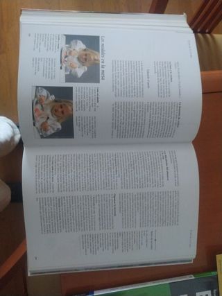 Larousse de los padres/ Larousse For Parents: Embarazo, Nacimiento, Cuidados Y Educacion/ Pregnancy, Birth, Care and Education (Spanish Edition)