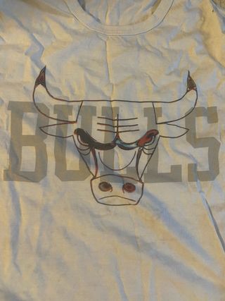 Camiseta chicago bulls nba