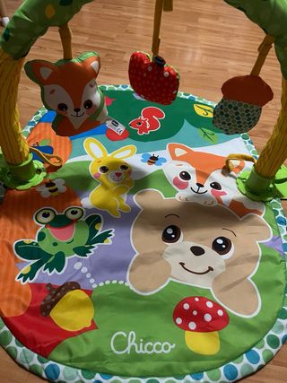 Gimnasio Multifuncional Chicco