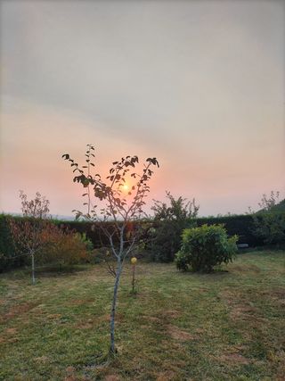 Trabajos de campo y jardín