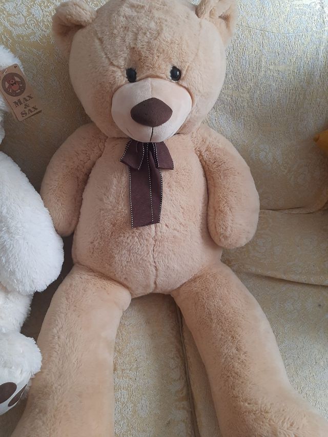 Osos de peluche