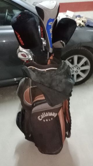 Bolsa y 14 palos de gof, pelotas, guantes...