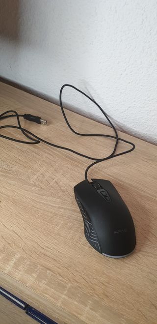 Raton gaming