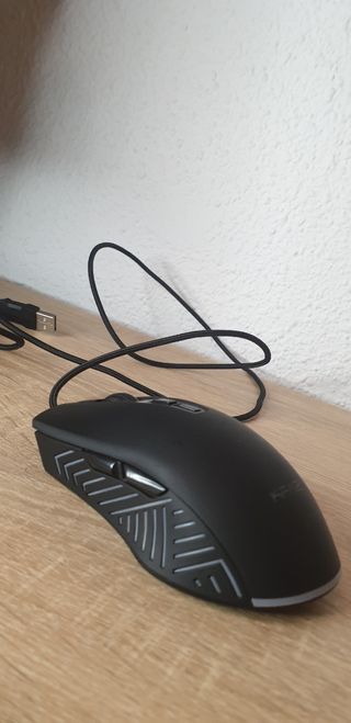Raton gaming
