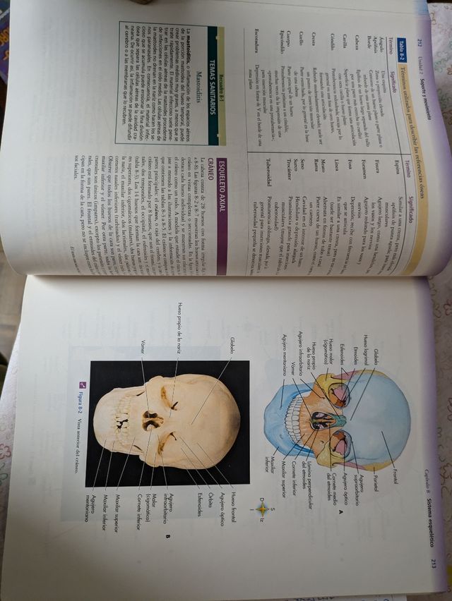 Anatomía y fisiología Harcourt