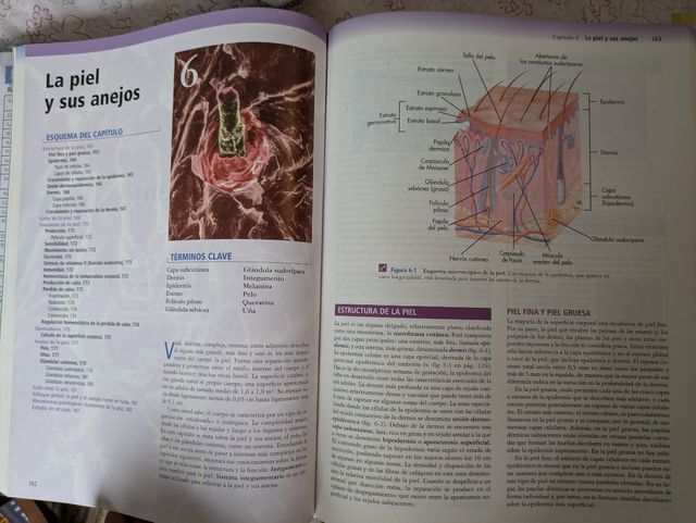 Anatomía y fisiología Harcourt
