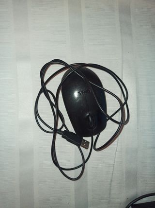 Mouse Dell