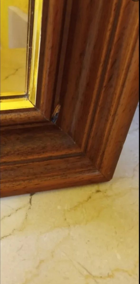 OCASIÓN Cuadro Cabecero.