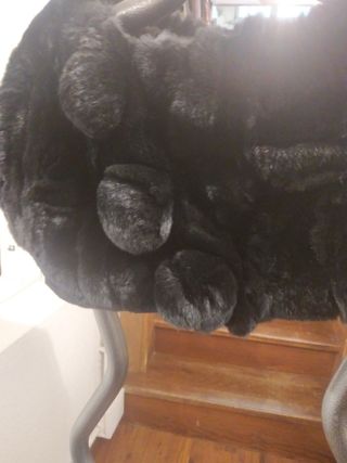 Capita piel rex fiesta