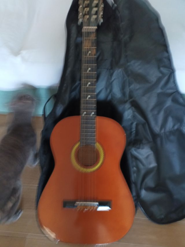 Chitarra classica con custodia