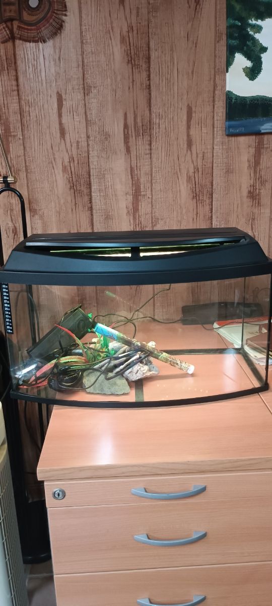 Pecera de 60 litros  O la cambio por Guitarra Clás