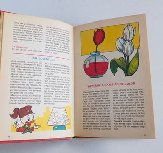 Disney Biblioteca de los JÓVENES CASTORES 1984