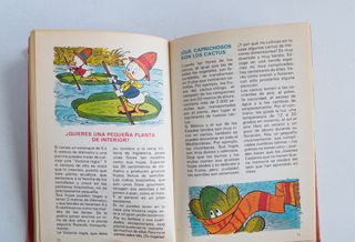 Disney Biblioteca de los JÓVENES CASTORES 1984